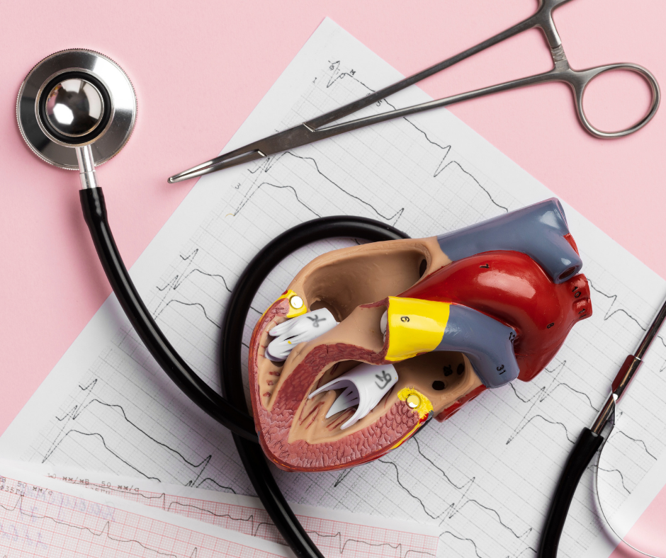 corazón univentricular es la condición de algunas cardiopatías congénitas